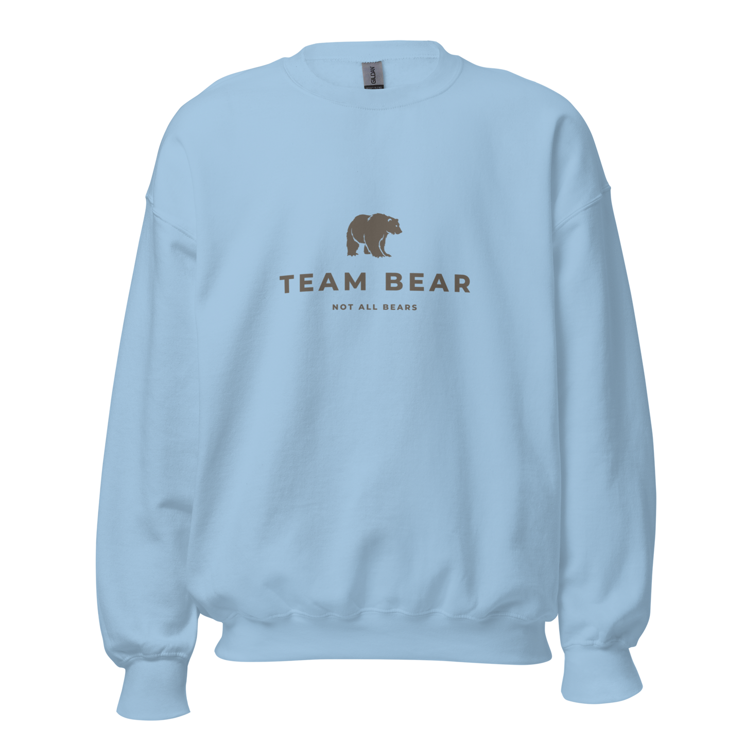 Team Bear crewneck