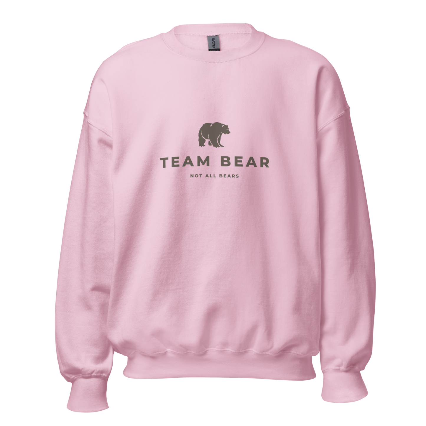 Team Bear crewneck